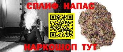 гидра Ипатово
