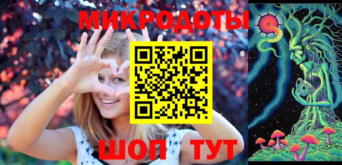 Галлюциногенные грибы мицелий Томск