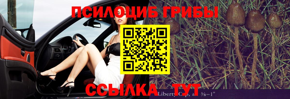 Галлюциногенные грибы Psilocybe  Вход с VPN  Томск  Псилоцибиновые грибы Psilocybe 